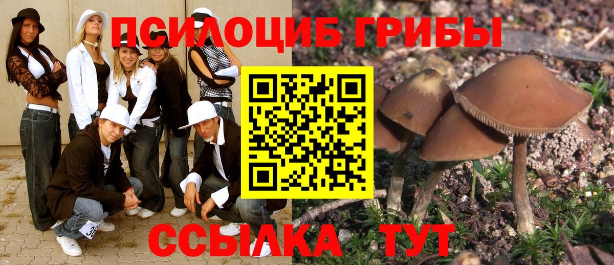 Калуга  Галлюциногенные грибы Psilocybine cubensis  Вход с VPN 