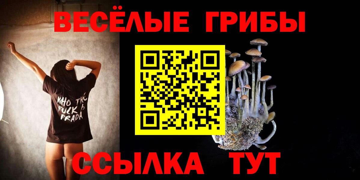 Галлюциногенные грибы Psilocybine cubensis Калуга