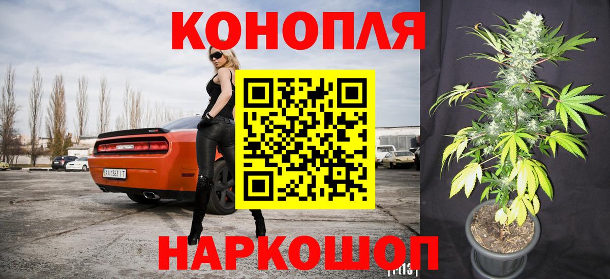 Каннабис конопля Калуга